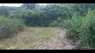 107 gay public porn videos